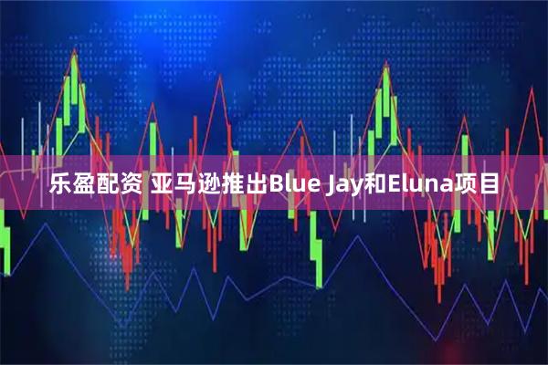 乐盈配资 亚马逊推出Blue Jay和Eluna项目