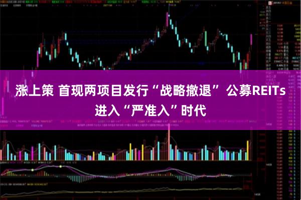 涨上策 首现两项目发行“战略撤退” 公募REITs进入“严准入”时代