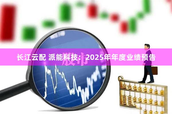 长江云配 派能科技：2025年年度业绩预告